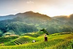 Hanoi to Central Vietnam Package Tours